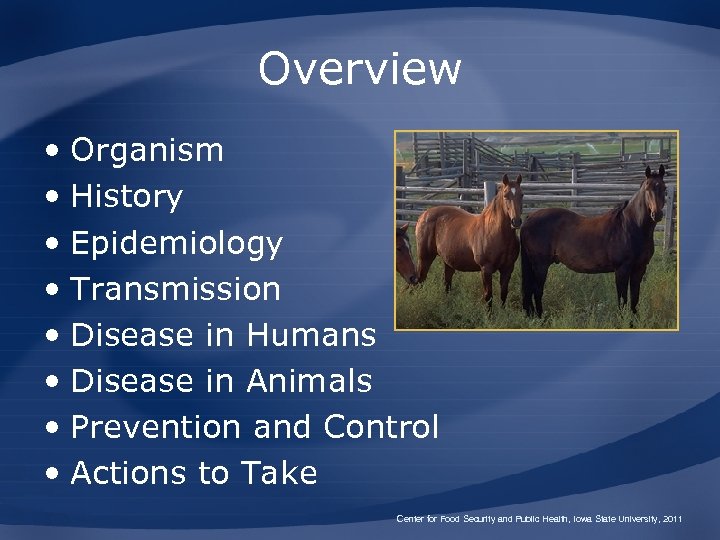 Overview • Organism • History • Epidemiology • Transmission • Disease in Humans •