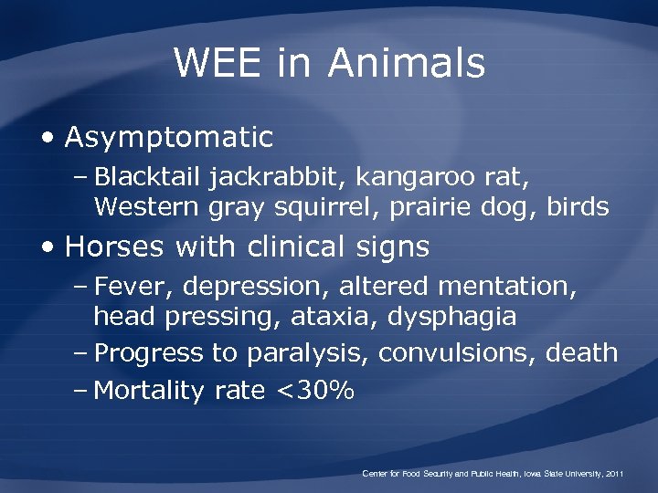 WEE in Animals • Asymptomatic – Blacktail jackrabbit, kangaroo rat, Western gray squirrel, prairie