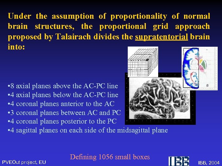 Under the assumption of proportionality of normal brain structures, the proportional grid approach proposed
