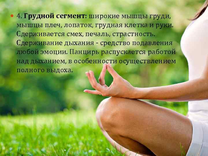  4. Грудной сегмент: широкие мышцы груди, мышцы плеч, лопаток, грудная клетка и руки.