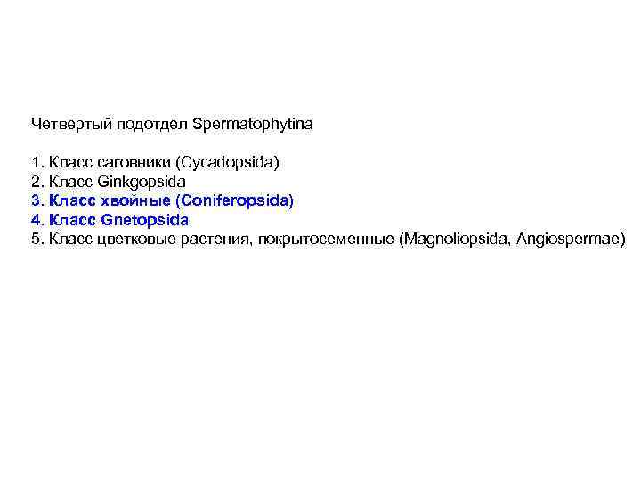 Четвертый подотдел Spermatophytina 1. Класс саговники (Cycadopsida) 2. Класс Ginkgopsida 3. Класс хвойные (Coniferopsida)