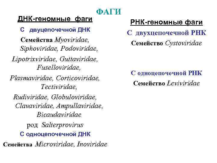 ДНК-геномные фаги ФАГИ С двуцепочечной ДНК Семейства Myoviridae, Siphoviridae, Podoviridae, Lipotrixviridae, Guttaviridae, Fuselloviridae, Plasmaviridae,