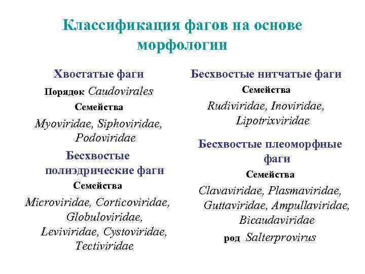 Классификация фагов на основе морфологии Хвостатые фаги Порядок Caudovirales Бесхвостые нитчатые фаги Семейства Rudiviridae,