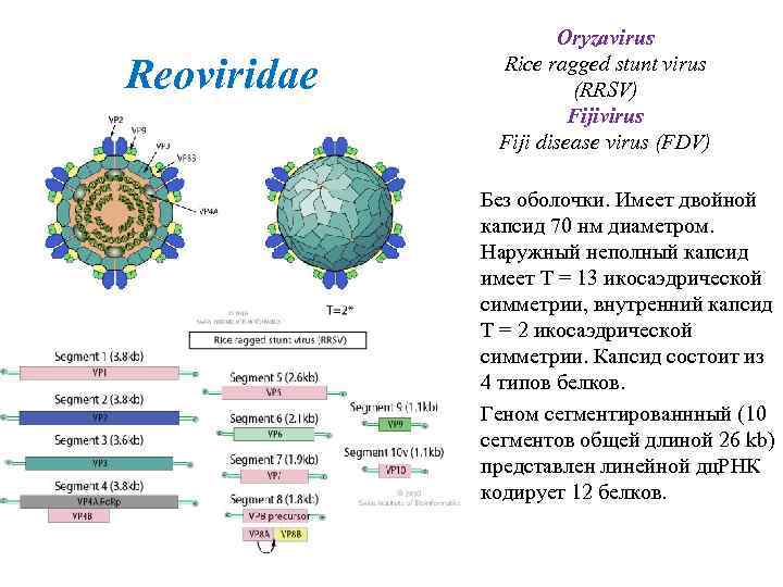 Как может произойти заражение компьютерным вирусом