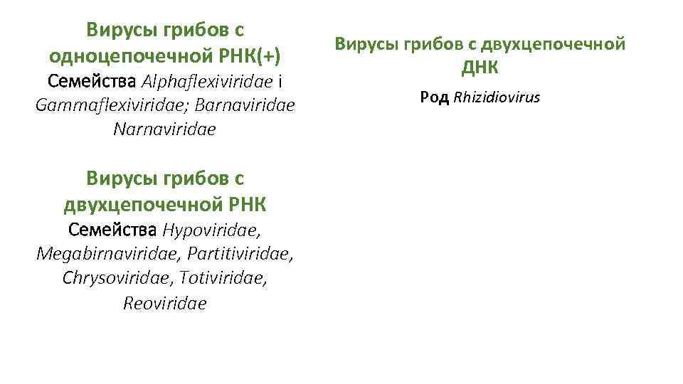 Вирусы грибов с одноцепочечной РНК(+) Семейства Alphaflexiviridae і Gammaflexiviridae; Barnaviridae Narnaviridae Вирусы грибов с