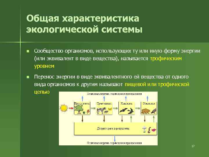 Предложите схему показывающую перенос энергии в экосистеме