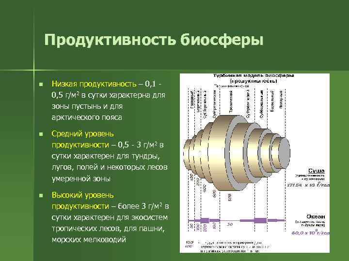 Продуктивность биосферы n Низкая продуктивность – 0, 1 0, 5 г/м 2 в сутки