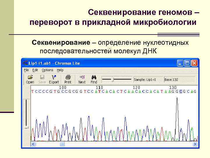 Секвенирование результаты. Задачи на секвенирование. Результаты секвенирования. Секвенирование микробиология. Секвенирование нуклеотидных последовательностей необходимо для.