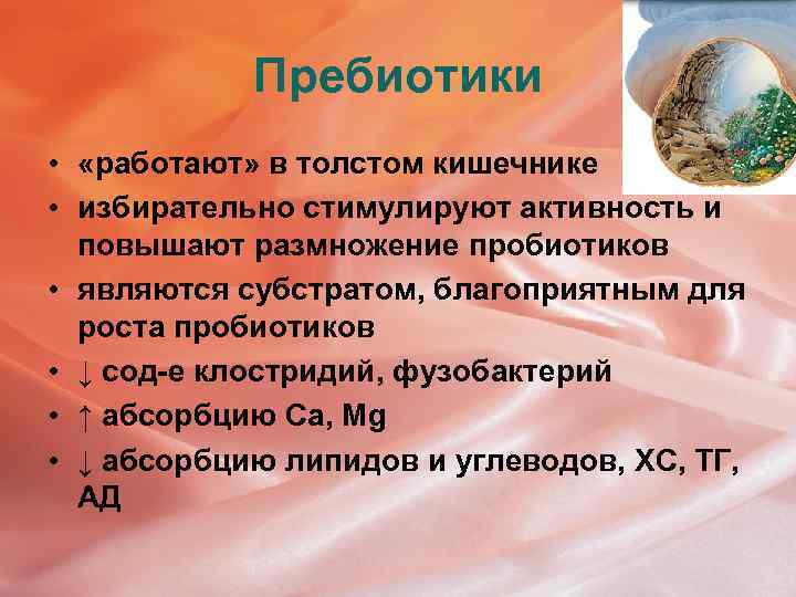 Пребиотики • «работают» в толстом кишечнике • избирательно стимулируют активность и повышают размножение пробиотиков