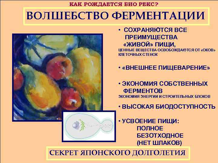 КАК РОЖДАЕТСЯ БИО РЕКС? ВОЛШЕБСТВО ФЕРМЕНТАЦИИ • СОХРАНЯЮТСЯ ВСЕ ПРЕИМУЩЕСТВА «ЖИВОЙ» ПИЩИ, ЦЕННЫЕ ВЕЩЕСТВА