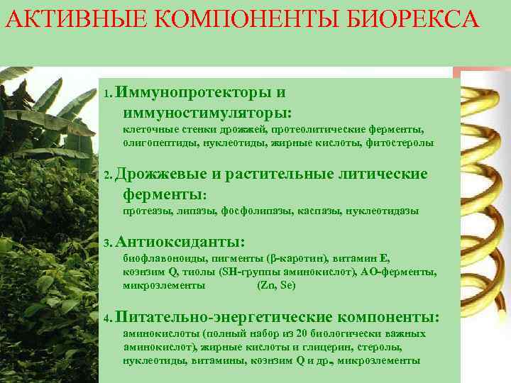 АКТИВНЫЕ КОМПОНЕНТЫ БИОРЕКСА 1. Иммунопротекторы и иммуностимуляторы: клеточные стенки дрожжей, протеолитические ферменты, олигопептиды, нуклеотиды,