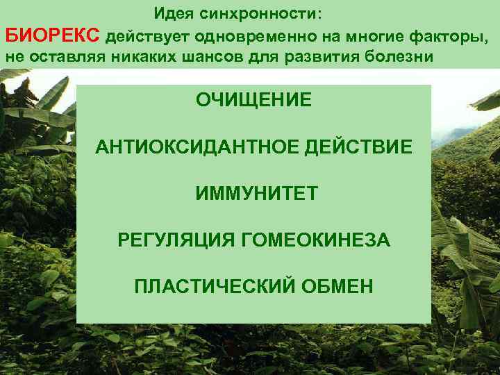 Идея синхронности: БИОРЕКС действует одновременно на многие факторы, не оставляя никаких шансов для развития