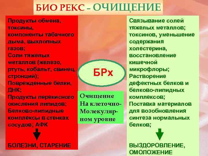 БИО РЕКС – ОЧИЩЕНИЕ Продукты обмена, токсины, компоненты табачного дыма, выхлопных газов; Соли тяжелых