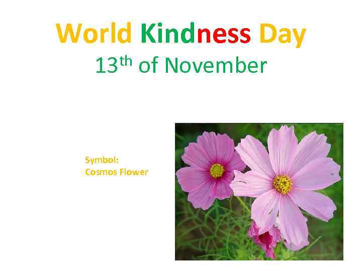 World Kindness Day th 13 of November Symbol: Cosmos Flower 