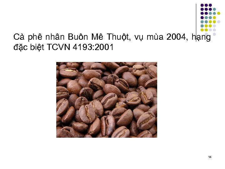 Cà phê nhân Buôn Mê Thuột, vụ mùa 2004, hạng đặc biệt TCVN 4193: