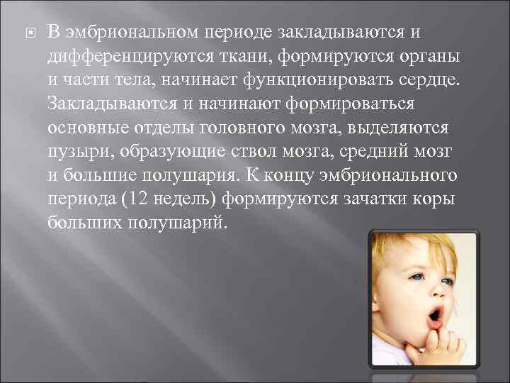  В эмбриональном периоде закладываются и дифференцируются ткани, формируются органы и части тела, начинает