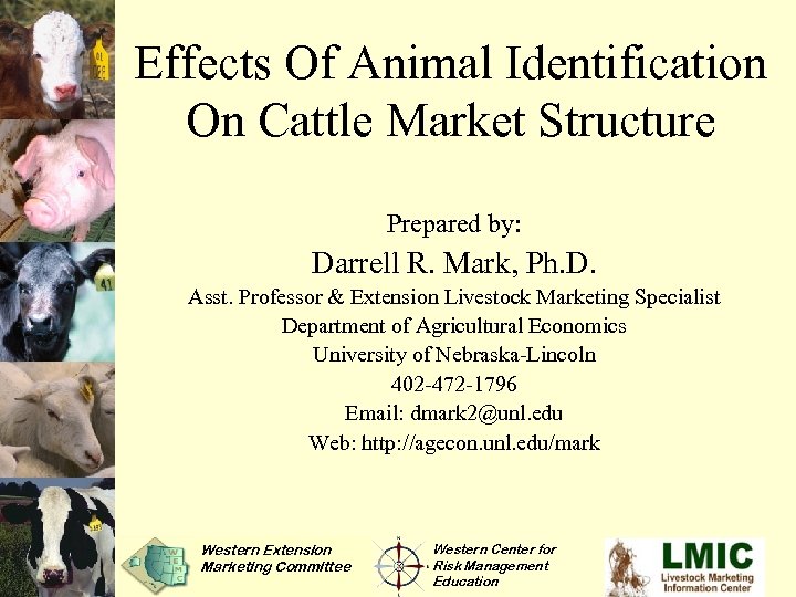 Effects Of Animal Identification On Cattle Market Structure Prepared by: Darrell R. Mark, Ph.