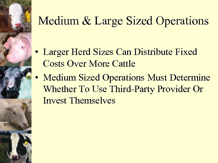 Medium & Large Sized Operations • Larger Herd Sizes Can Distribute Fixed Costs Over