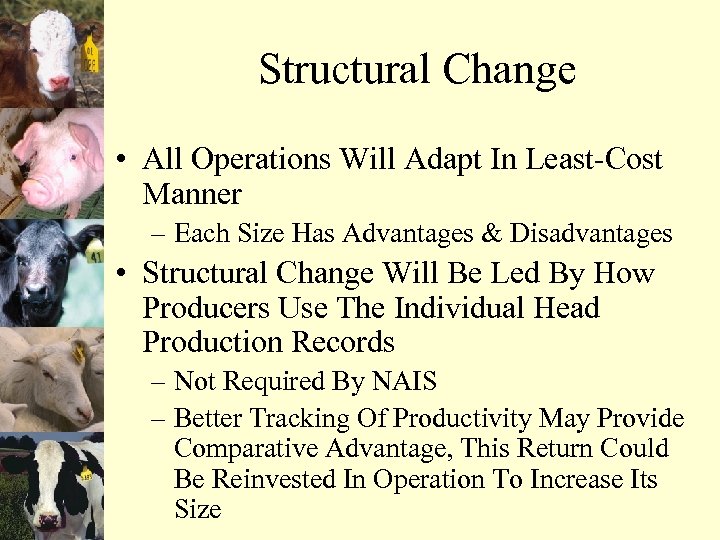 Structural Change • All Operations Will Adapt In Least-Cost Manner – Each Size Has