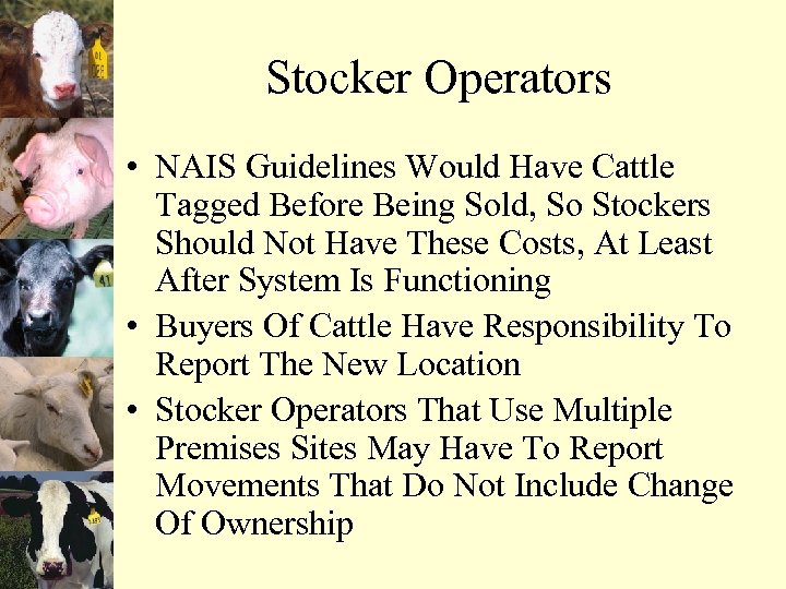 Stocker Operators • NAIS Guidelines Would Have Cattle Tagged Before Being Sold, So Stockers