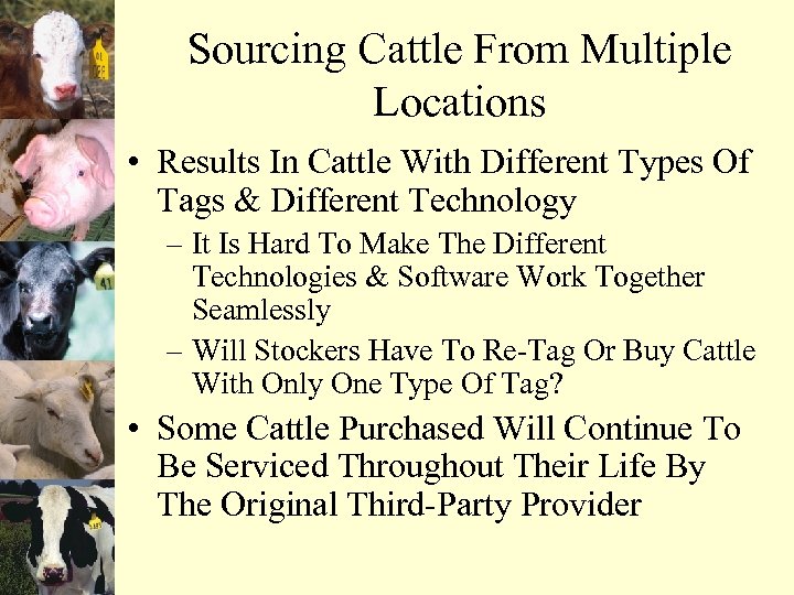 Sourcing Cattle From Multiple Locations • Results In Cattle With Different Types Of Tags