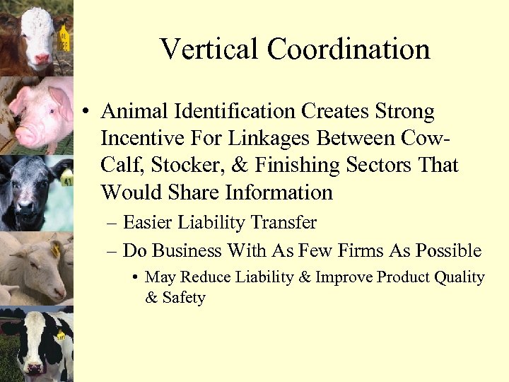 Vertical Coordination • Animal Identification Creates Strong Incentive For Linkages Between Cow. Calf, Stocker,