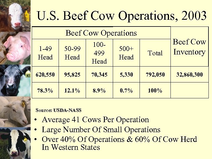 U. S. Beef Cow Operations, 2003 Beef Cow Operations 500+ Head Total Beef Cow