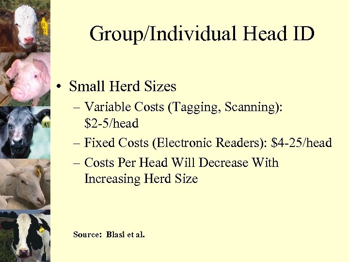 Group/Individual Head ID • Small Herd Sizes – Variable Costs (Tagging, Scanning): $2 -5/head