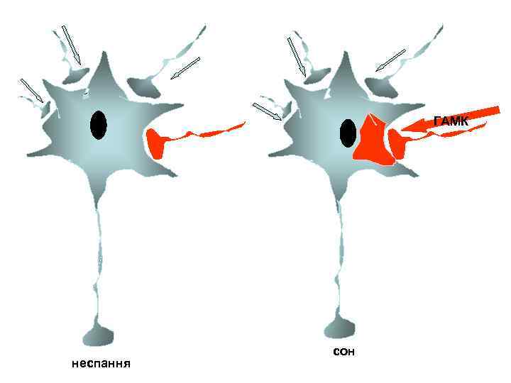 ГАМК неспання сон 