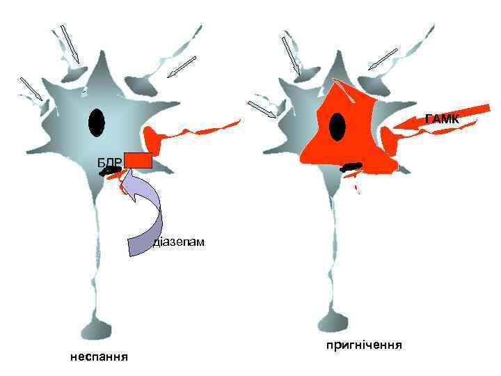 ГАМК БДР діазепам неспання пригнічення 