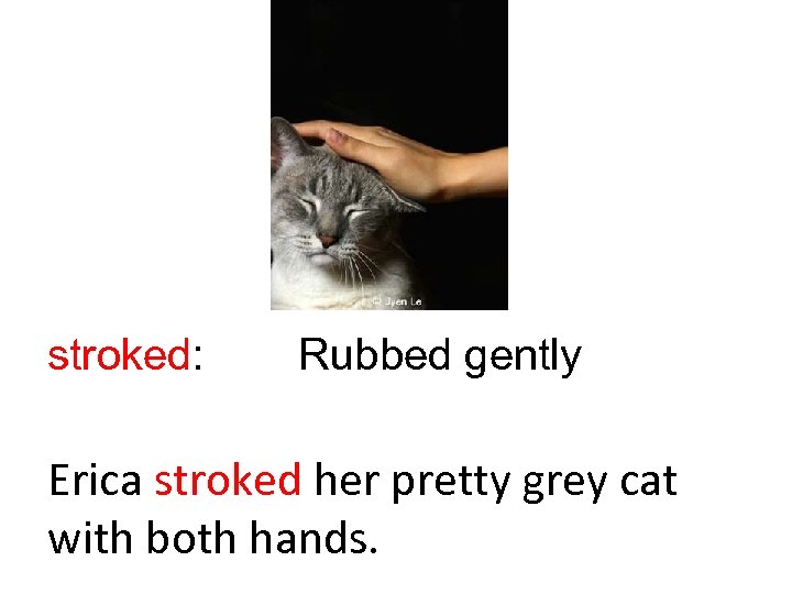 stroked: Rubbed gently Erica stroked her pretty grey cat with both hands. 
