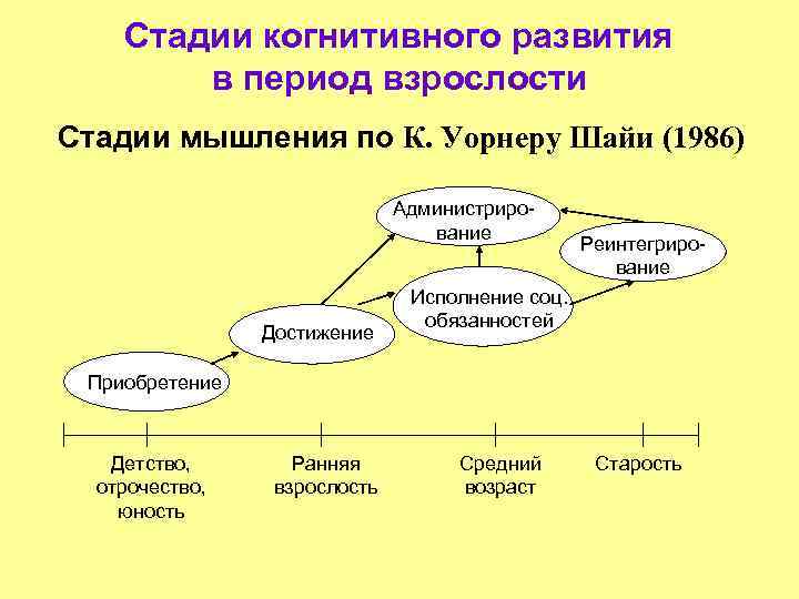 Когнитивное развитие взрослому. Стадии развития мышления. Стадии когнитивного развития в период взрослости. Стадии становления мышления. Основные этапы развития мышления.