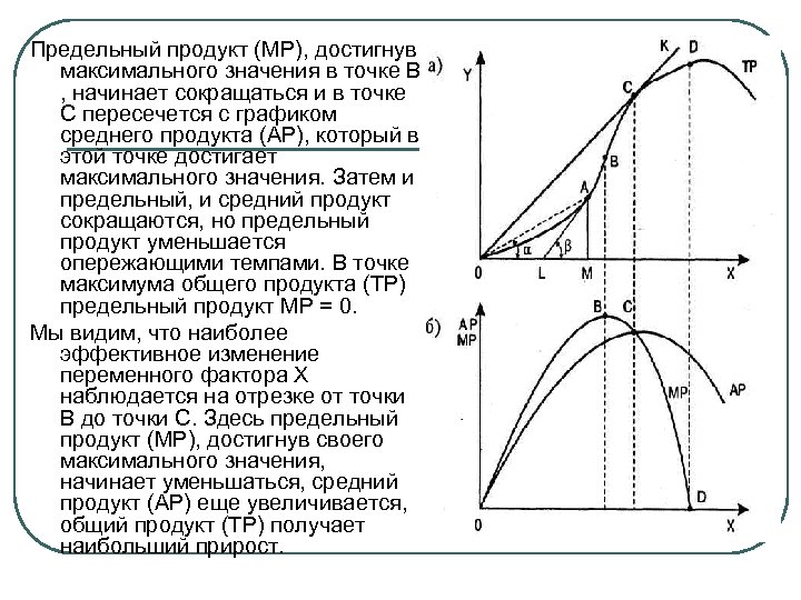 Предельный продукт (МР), достигнув максимального значения в точке В , начинает сокращаться и в