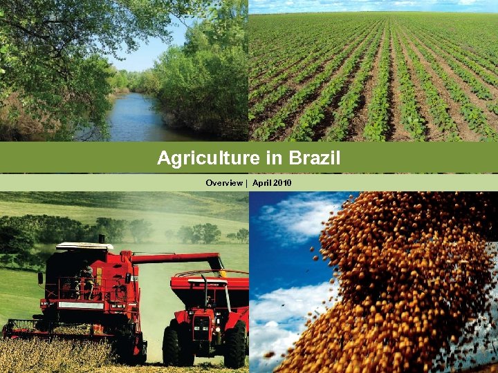 development of agriculture in brazil essay