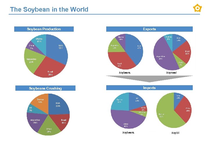 The Soybean in the World Soybean Production Exports Soymeal Soybeans Imports Soybeans Crushing Soybeans