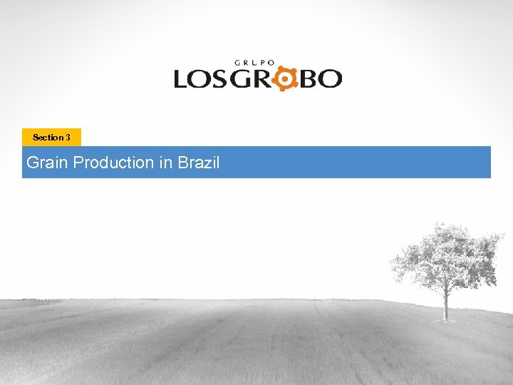 Section 3 Grain Production in Brazil 