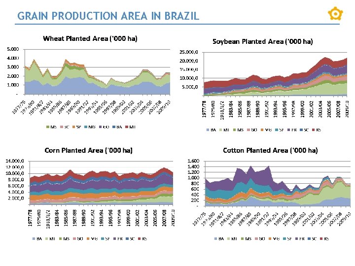 GRAIN PRODUCTION AREA IN BRAZIL 