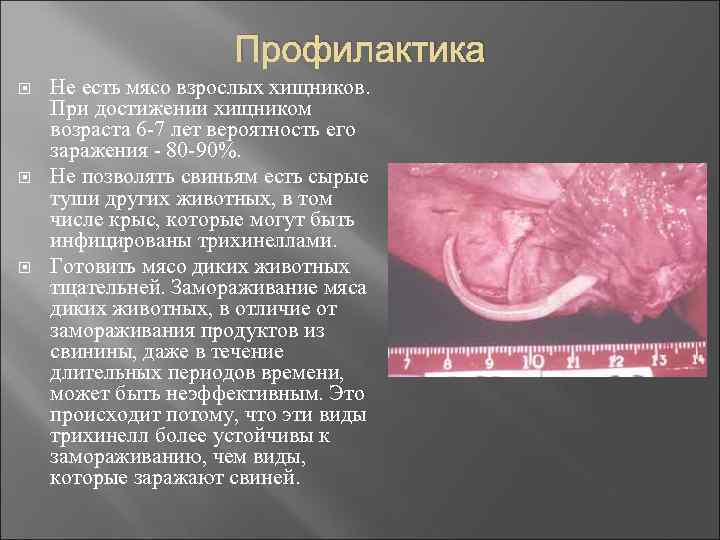 Профилактика Не есть мясо взрослых хищников. При достижении хищником возраста 6 -7 лет вероятность