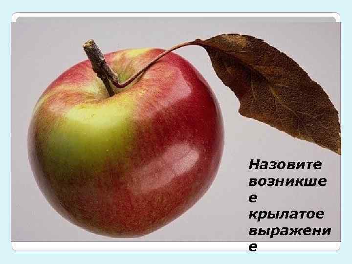 Назовите возникше е крылатое выражени е 