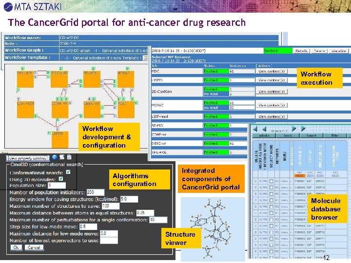 The Cancer. Grid portal for anti-cancer drug research Workflow execution Workflow development & configuration