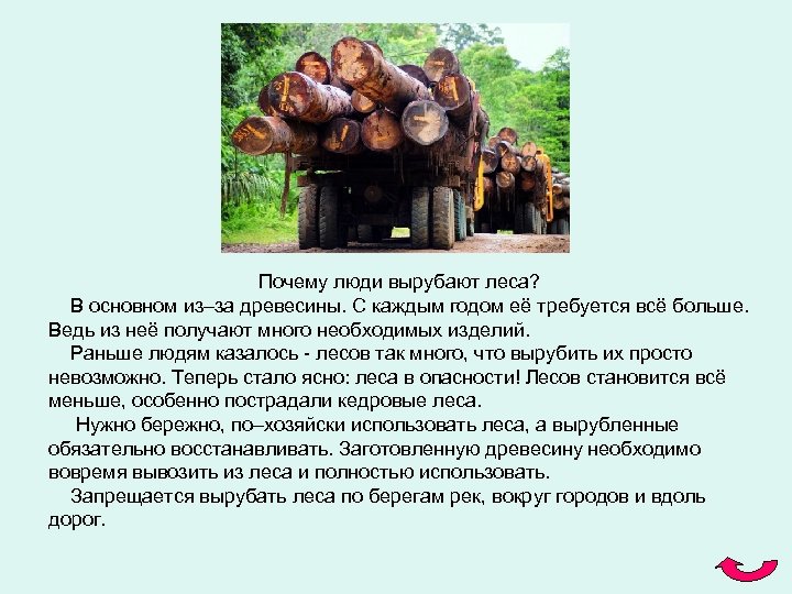 Почему люди вырубают леса? В основном из–за древесины. С каждым годом её требуется всё
