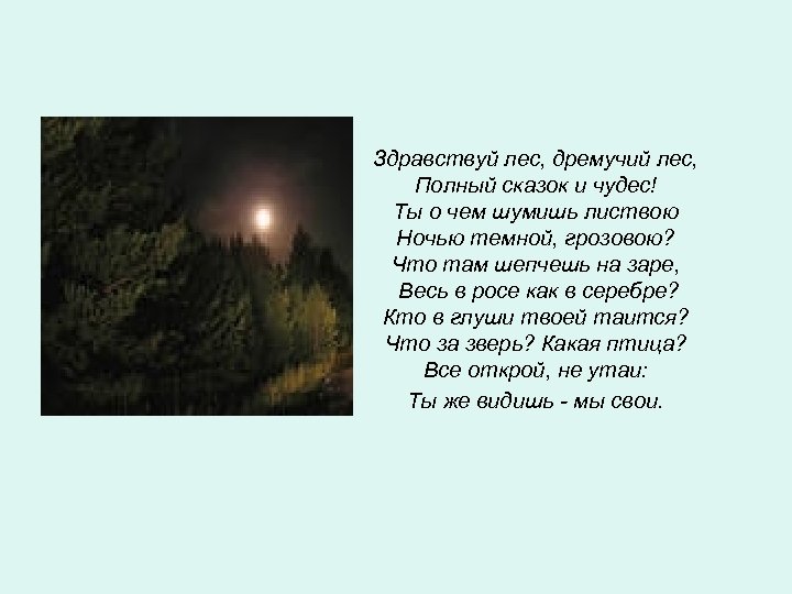 Здравствуй лес, дремучий лес, Полный сказок и чудес! Ты о чем шумишь листвою Ночью