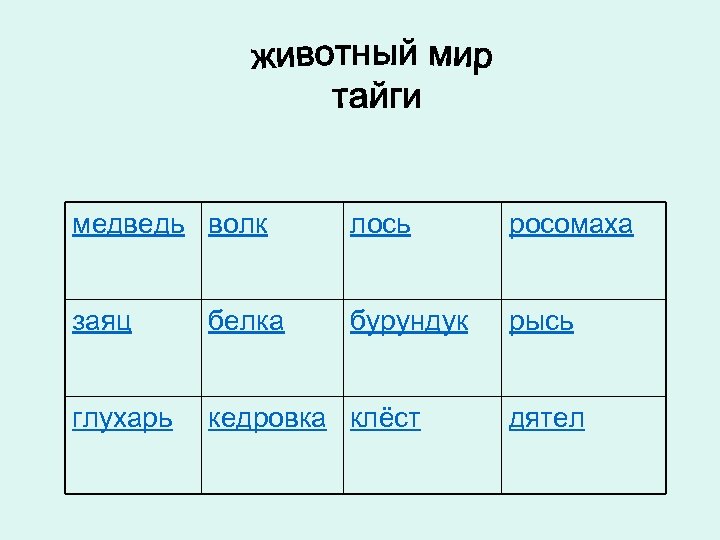 медведь волк лось росомаха заяц белка бурундук рысь глухарь кедровка клёст дятел 