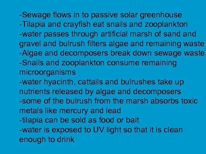 -Sewage flows in to passive solar greenhouse -Tilapia and crayfish eat snails and zooplankton
