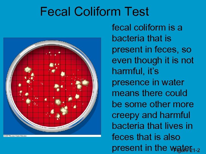 Fecal Coliform Test fecal coliform is a bacteria that is present in feces, so