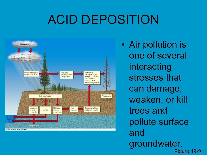 ACID DEPOSITION • Air pollution is one of several interacting stresses that can damage,