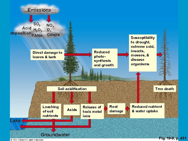 Emissions SO 2 Acid H O 2 2 deposition PANs NOx O 3 Others