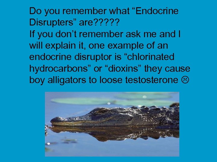 Do you remember what “Endocrine Disrupters” are? ? ? If you don’t remember ask