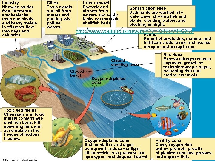 Industry Nitrogen oxides from autos and smokestacks, toxic chemicals, and heavy metals in effluents