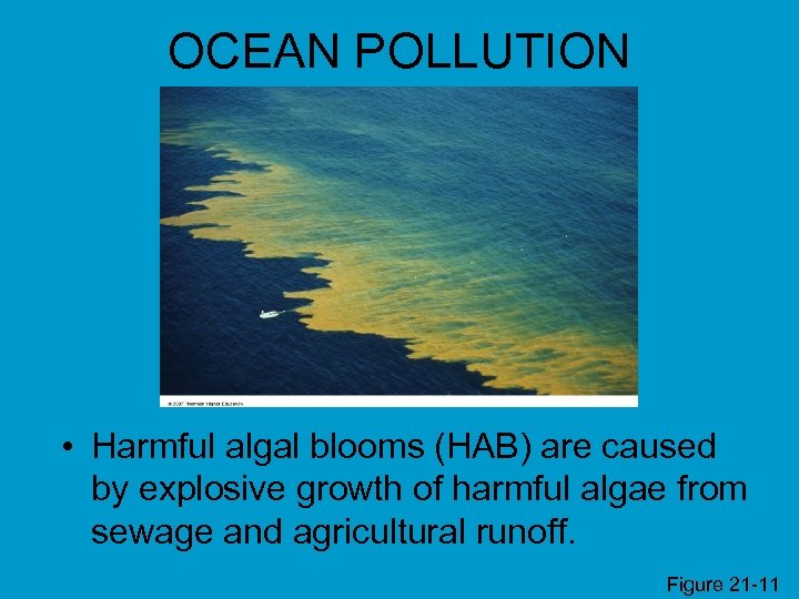 OCEAN POLLUTION • Harmful algal blooms (HAB) are caused by explosive growth of harmful